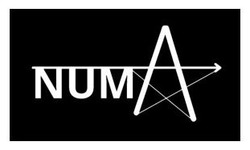 Заявка на торговельну марку № m202603383: numa