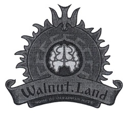 Заявка на торговельну марку № m201616589: home of ukrainian nuts; walnut.land