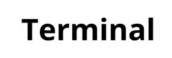 Заявка на торговельну марку № m202608682: terminal