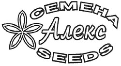 Заявка на торговельну марку № m200805724: seeds; семена алекс