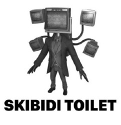 Заявка на торговельну марку № m202416295: skibidi toilet