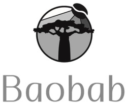 Свідоцтво торговельну марку № 347406 (заявка m202211142): baobab