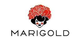 Заявка на торговельну марку № m202011929: marigold