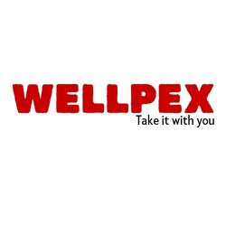 Заявка на торговельну марку № m202206888: take it with you; wellpex
