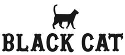 Свідоцтво торговельну марку № 339176 (заявка m202128637): black cat
