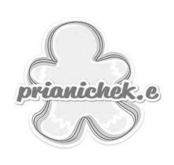 Свідоцтво торговельну марку № 322536 (заявка m202025533): prianichek e; prianichek.e; е