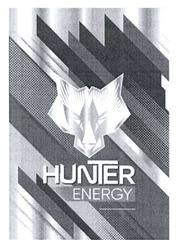 Заявка на торговельну марку № m202315452: hunter energy
