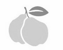 Заявка на торговельну марку № m202604333