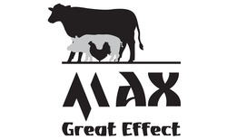 Заявка на торговельну марку № m202316580: max great effect; мах