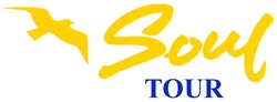 Свідоцтво торговельну марку № 336933 (заявка m202122967): soul tour