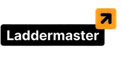 Свідоцтво торговельну марку № 291732 (заявка m201905287): laddermaster
