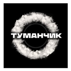 Заявка на торговельну марку № m202417566: туманчик