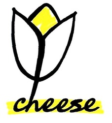 Свідоцтво торговельну марку № 311510 (заявка m201917712): cheese; yu