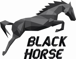 Заявка на торговельну марку № m201621209: black horse