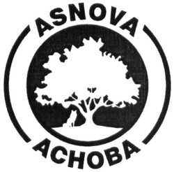 Заявка на торговельну марку № m201829303: asnova; аснова; achoba
