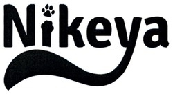 Свідоцтво торговельну марку № 313567 (заявка m202006254): nikeya