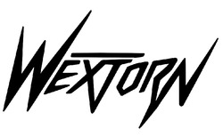 Заявка на торговельну марку № m202519391: wextorn