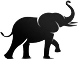 Заявка на торговельну марку № m202501078