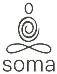 Заявка на торговельну марку № m202519140: soma