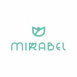 Заявка на торговельну марку № m202421806: mirabel