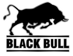 Заявка на торговельну марку № m202127242: black bull