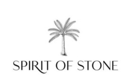 Заявка на торговельну марку № m202412432: spirit of stone