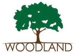 Свідоцтво торговельну марку № 335914 (заявка m202120325): woodland