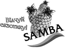 Свідоцтво торговельну марку № 62884 (заявка 20040606002): samba; відчуй екзотику