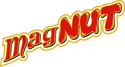 Заявка на торговельну марку № m202602885: mag nut; magnut