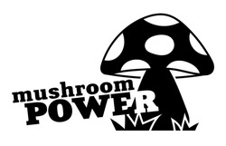 Заявка на торговельну марку № m202422560: mushroom power