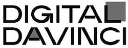 Заявка на торговельну марку № m202207258: digital davinci