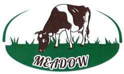 Свідоцтво торговельну марку № 286841 (заявка m201828880): meadow