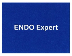 Свідоцтво торговельну марку № 313852 (заявка m201919008): endo expert