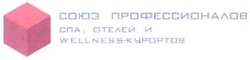 Свідоцтво торговельну марку № 136158 (заявка m201001977): союз профессионалов спа, отелей и wellness-курортов