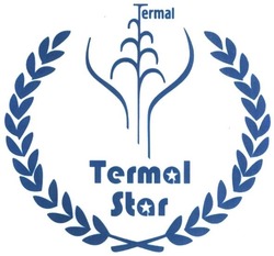 Свідоцтво торговельну марку № 280586 (заявка m201819091): termal star