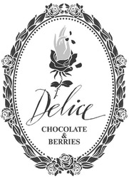 Свідоцтво торговельну марку № 289193 (заявка m201825792): delice; chocolate&berries; chocolate berries