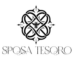 Заявка на торговельну марку № m202522665: sposa tesqro