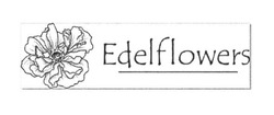 Заявка на торговельну марку № m201717738: edelflowers; edel flowers