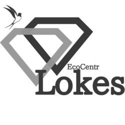 Заявка на торговельну марку № m202304797: есо; eco centr lokes; ecocentr lokes