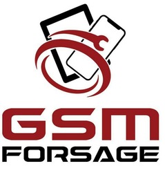 Свідоцтво торговельну марку № 325868 (заявка m202027245): gsm forsage