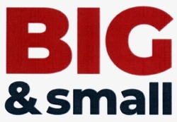 Заявка на торговельну марку № m202026122: big small; big&small