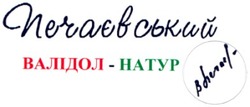 Свідоцтво торговельну марку № 63540 (заявка 20041112514): печаєвський; валідол-натур; hatyp