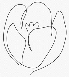 Заявка на торговельну марку № m202510275