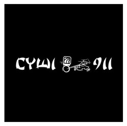 Заявка на торговельну марку № m202523086: суші 911