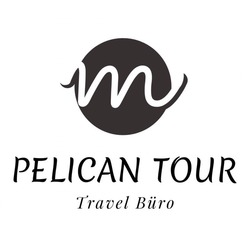 Свідоцтво торговельну марку № 299466 (заявка m201915570): pelican tour travel buro; m; т
