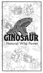Свідоцтво торговельну марку № 309755 (заявка m201930247): ginosaur natural wild power