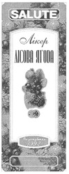 Заявка на торговельну марку № m200618177: salute; лікер; лісова ягода; рік заснування 1992