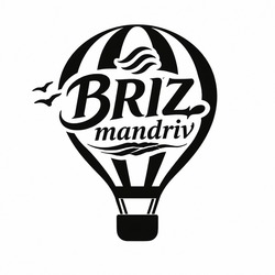 Заявка на торговельну марку № m202605851