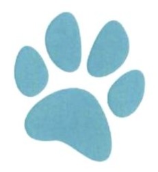 Заявка на торговельну марку № m202510776