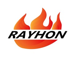 Заявка на торговельну марку № m202318165: rayhon